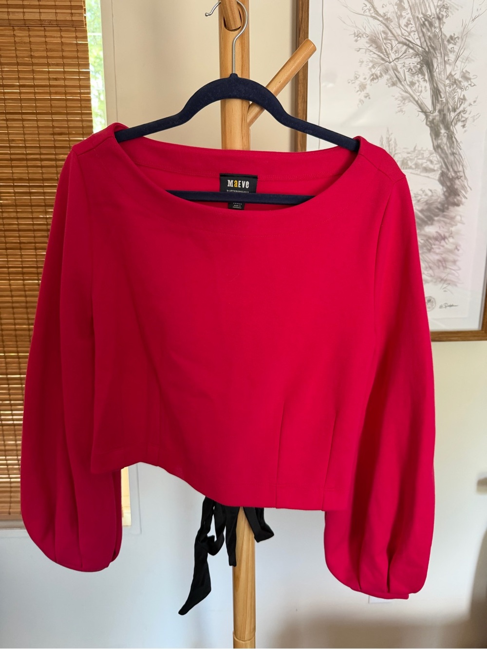 Anthropologie Maeve Pink Corset Top